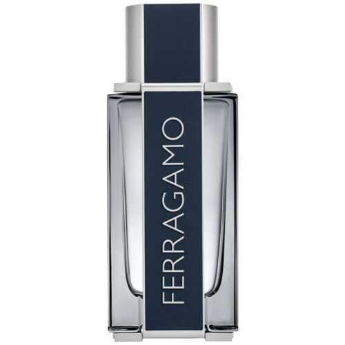 Ferragamo pour Homme tester