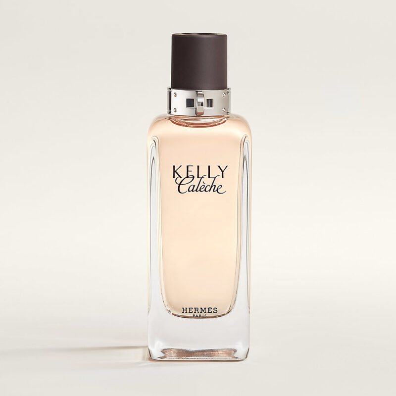 Hermes Kelly Caleche tester